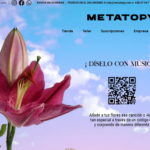 metatopy metatopy